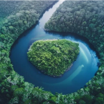 尼格买提的小失误与AI对人类艺术的潜在影响:探讨AI技术的艺术边界-