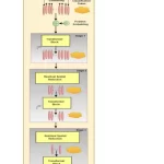 ResNet+Transformer组合再创辉煌：SOTA刷新至99.12%，准确率飙升-