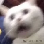 警惕！大模型潜在风险：潜伏期恶变，安全评估的新挑战-