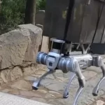 挑山工对手来了!网友偶遇机器狗载重物爬泰山,可承载120公斤-