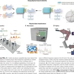 Science：基于无反向传播训练的深度物理神经网络-